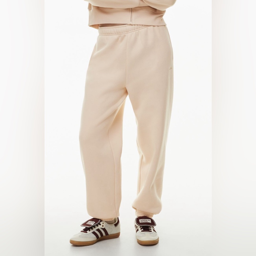 Aritzia Cozy Fleece Mega Sweatpant TNA